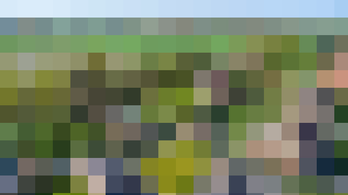 Image 38