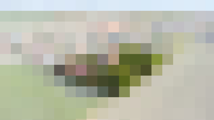 Image 40