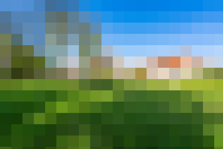 Image 26