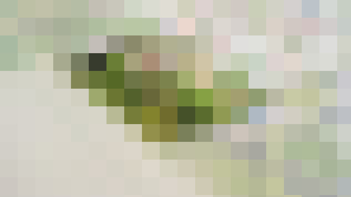 Image 39