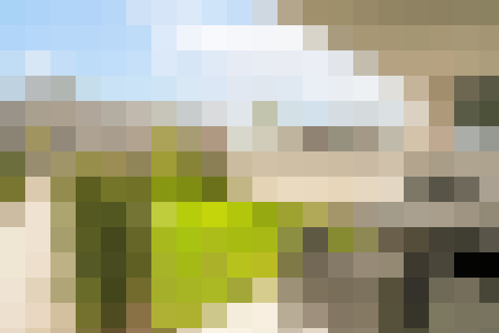 Image 16