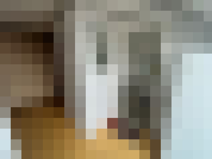 Image 28