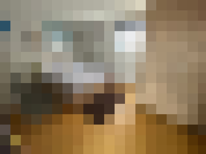 Image 29