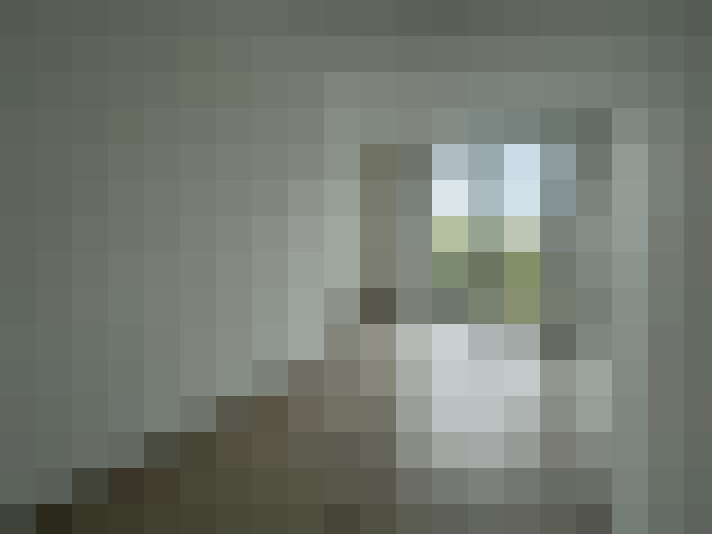 Image 13