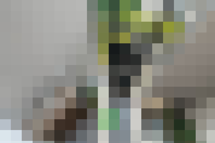 Image 20