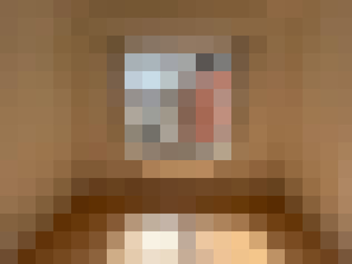 Image 41