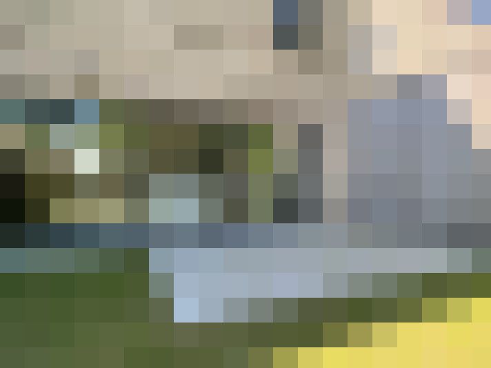 Image 13