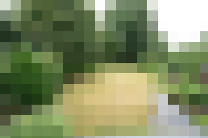 Image 27