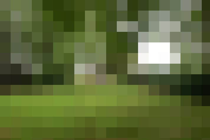 Image 28