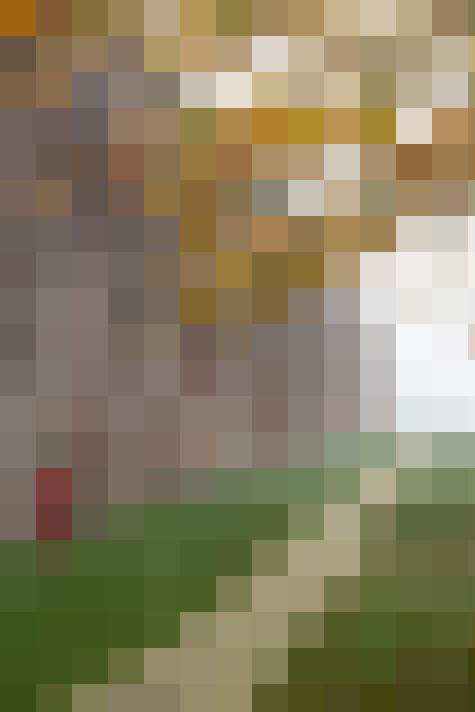 Image 29