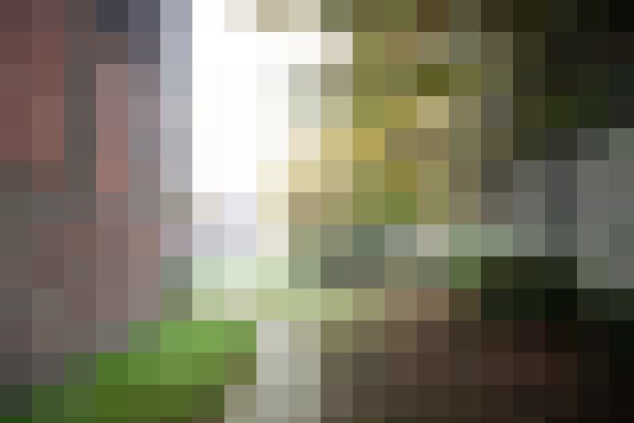 Image 27