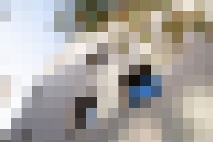 Image 22