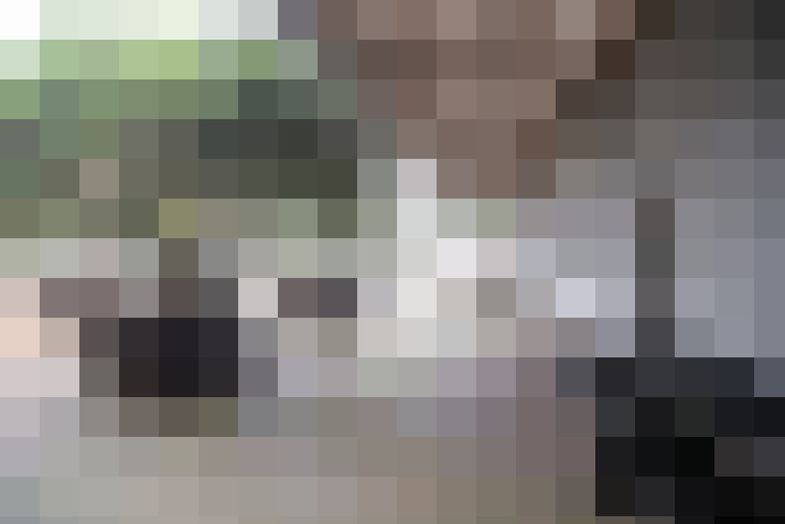 Image 31