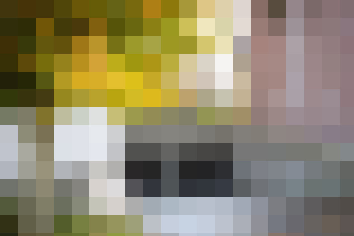 Image 28