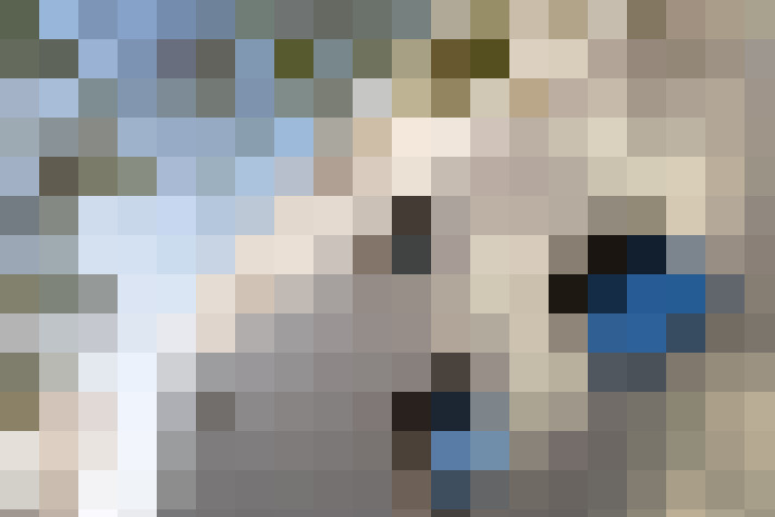 Image 17