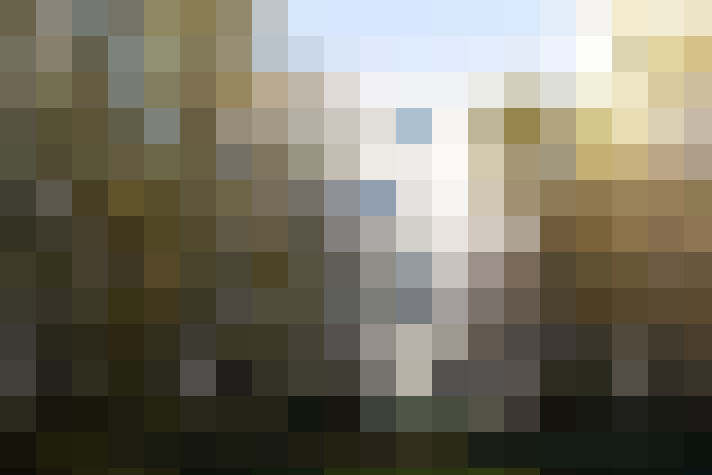 Image 14