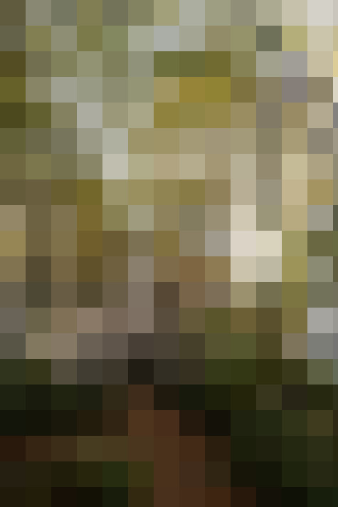 Image 30