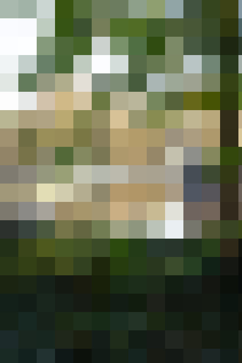 Image 31