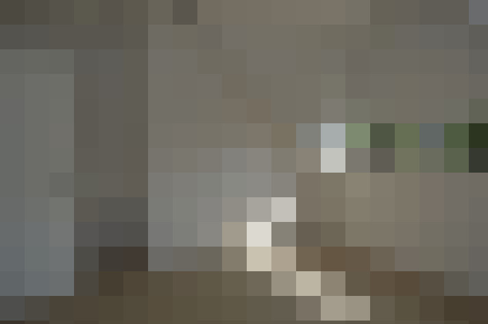 Image 33