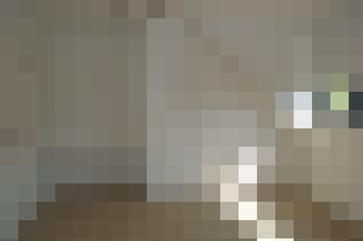 Image 37