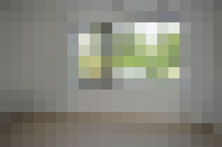 Image 31