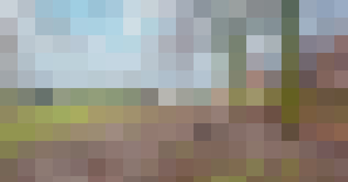 Image 25