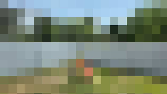 Image 13