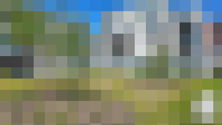 Image 21