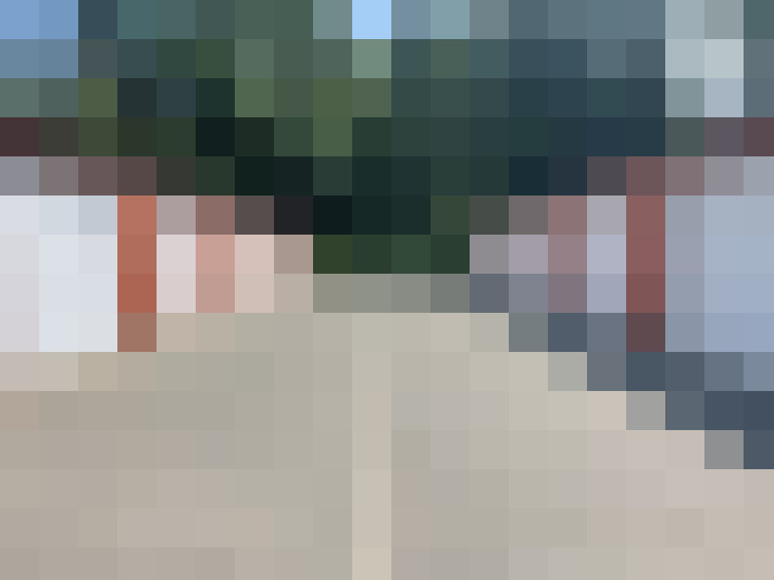 Image 13