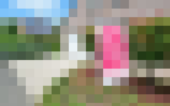 Image 29