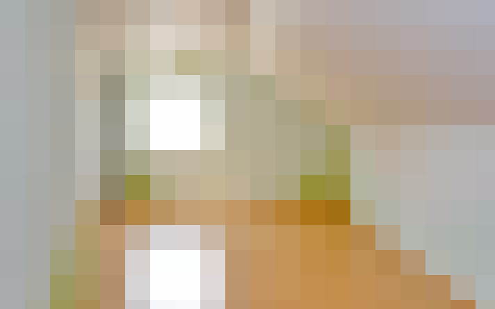 Image 22