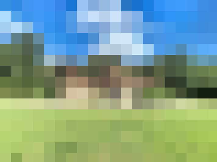 Image 18