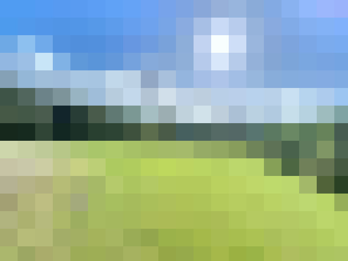 Image 17