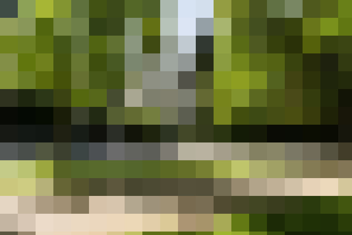 Image 26