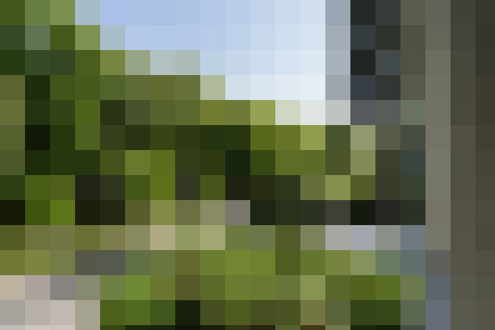 Image 27