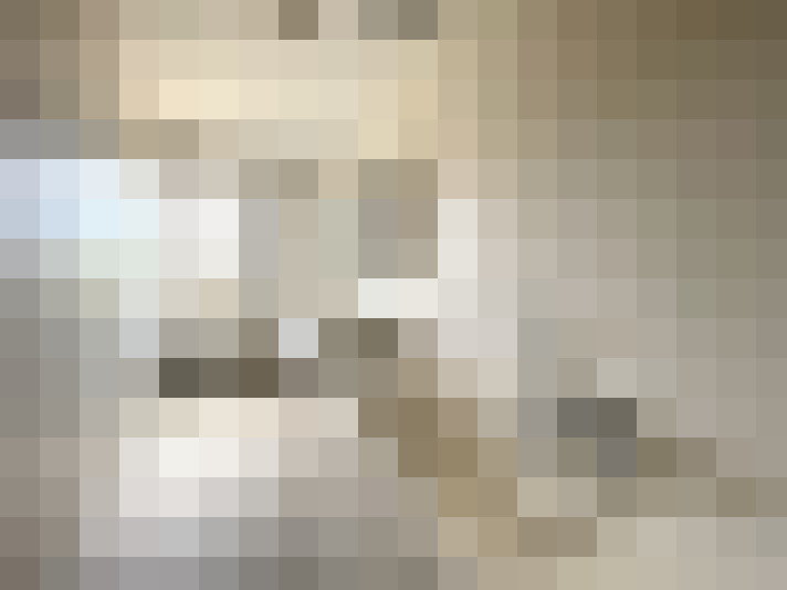 Image 14