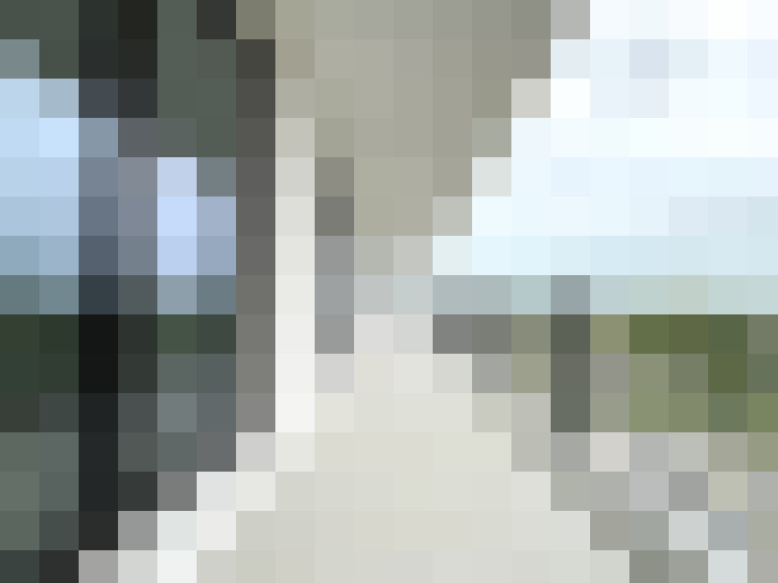 Image 13