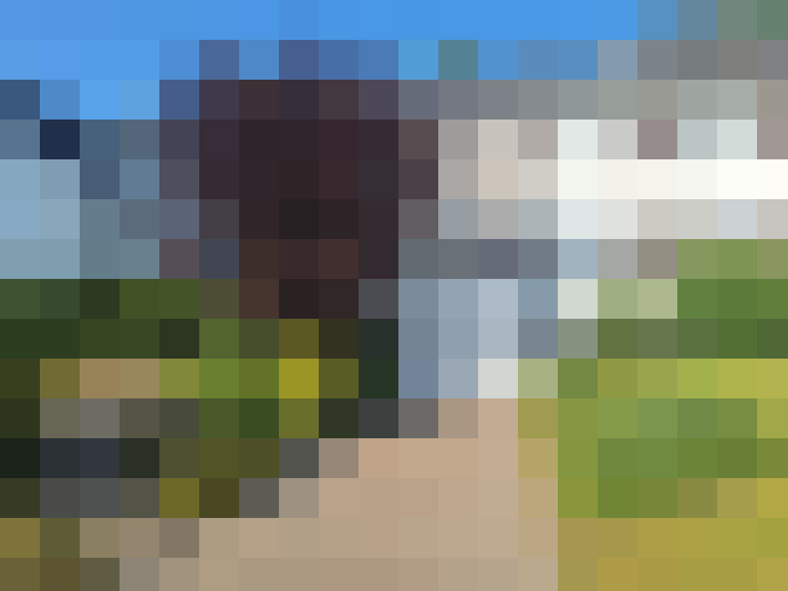 Image 22