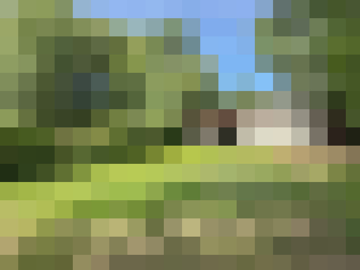 Image 15