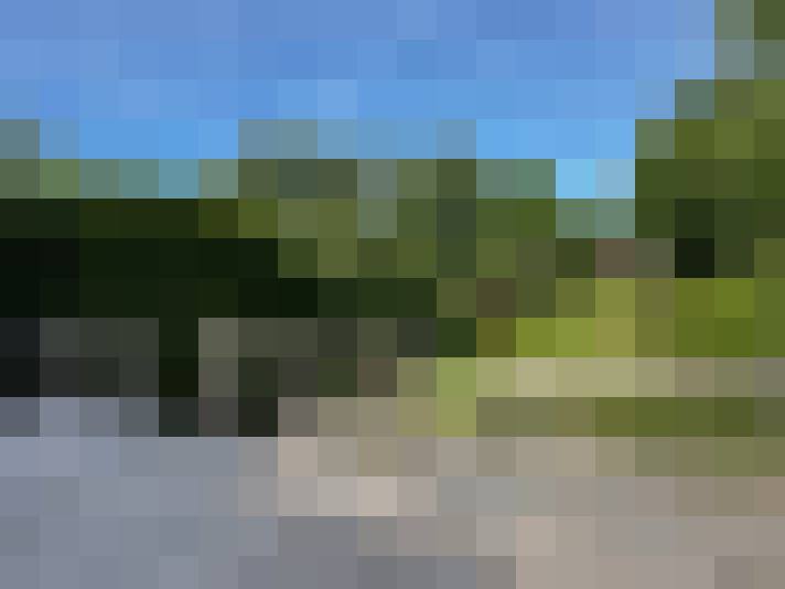 Image 14