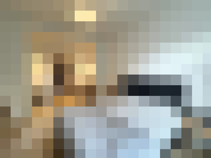 Image 31
