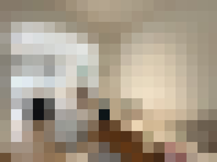 Image 20