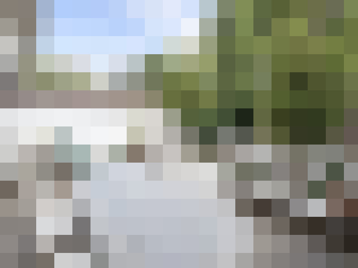 Image 24