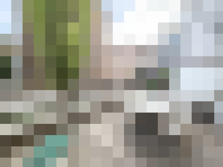 Image 23