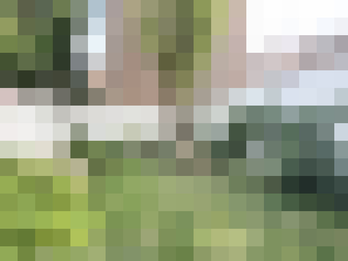 Image 13
