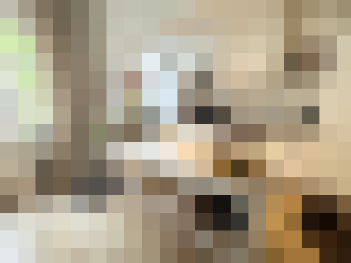 Image 25