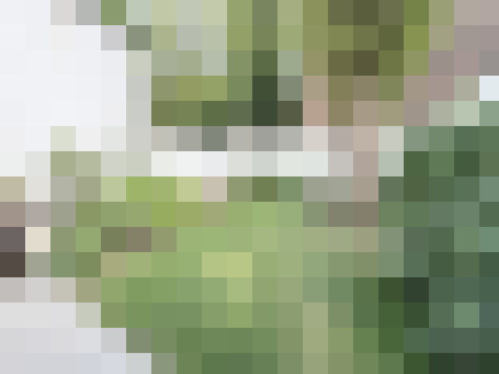 Image 14