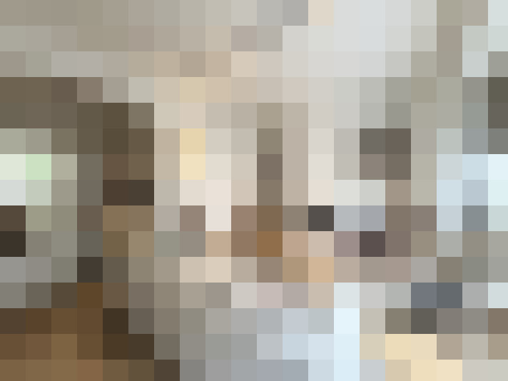 Image 17