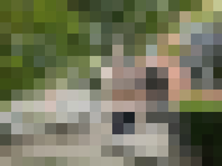 Image 24