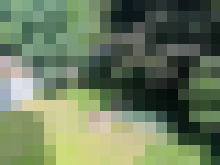 Image 16
